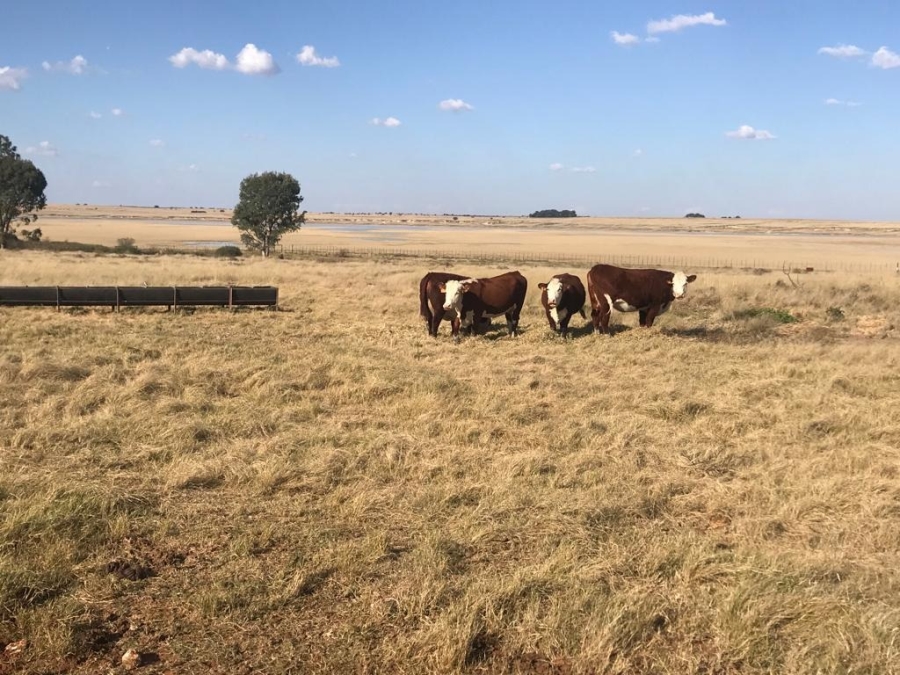 13 Bedroom Property for Sale in Soutpan Free State